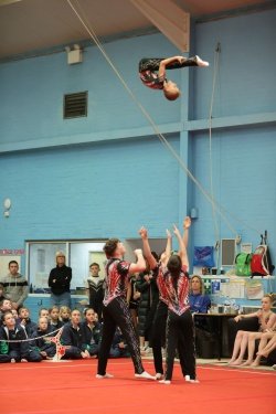 3164