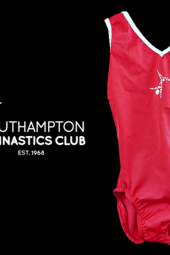 Red Leotard and Logo
