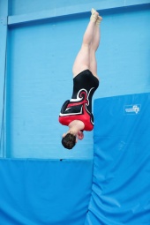 Tumble 2