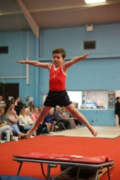Recreational Gymnasts