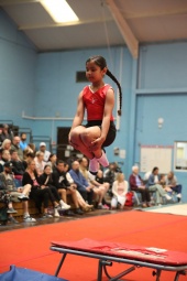 Recreational Gymnasts